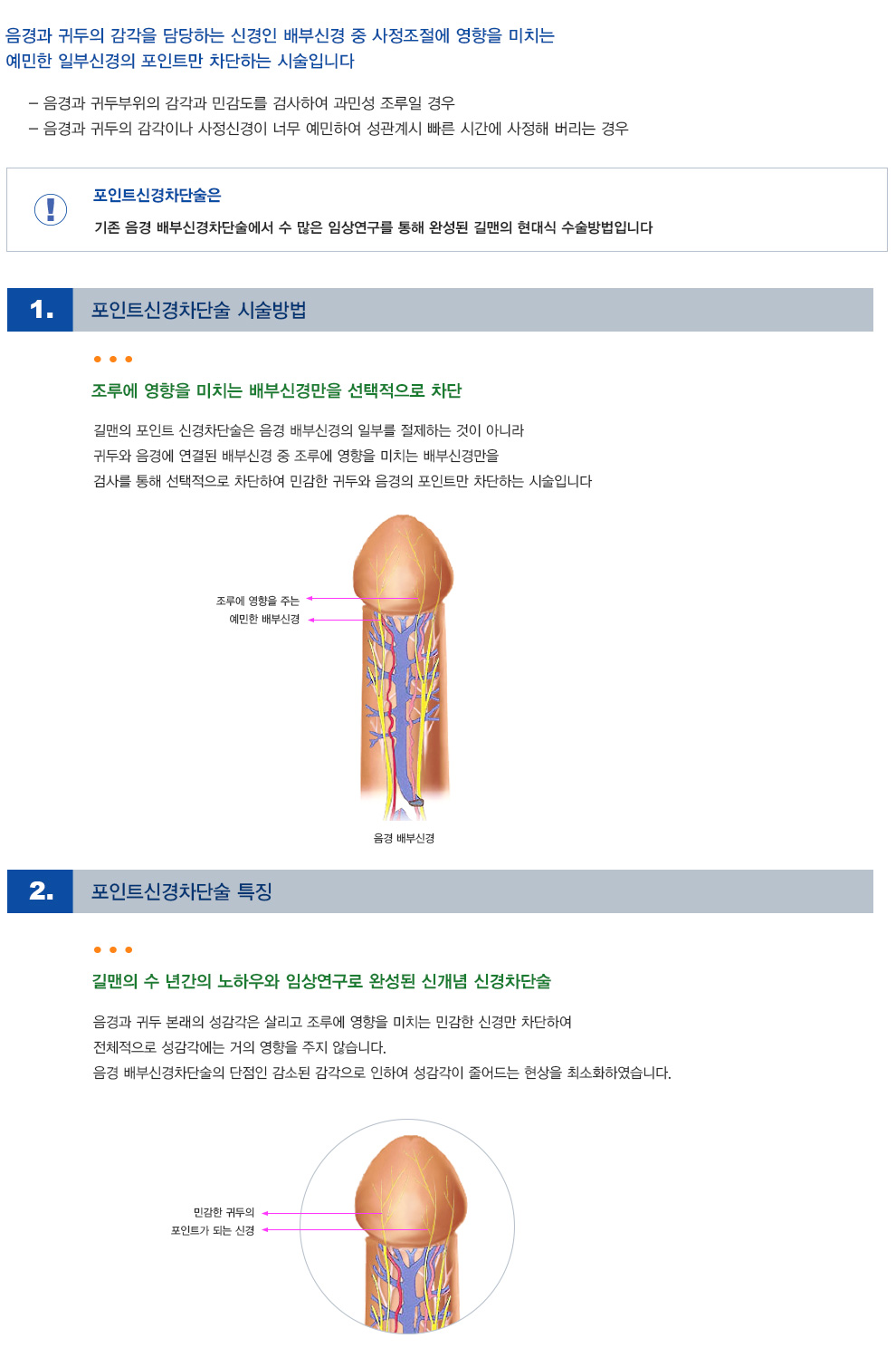 -포인트신경차단술